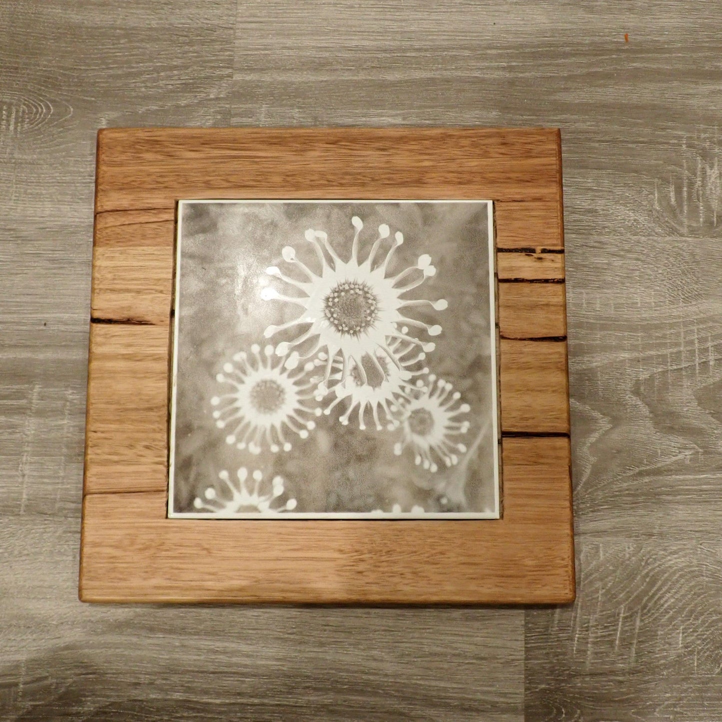 Tile and Timber Heat Pad - African Daisy 'Spider White' On Tasmanian Oak - Burning Man Designs